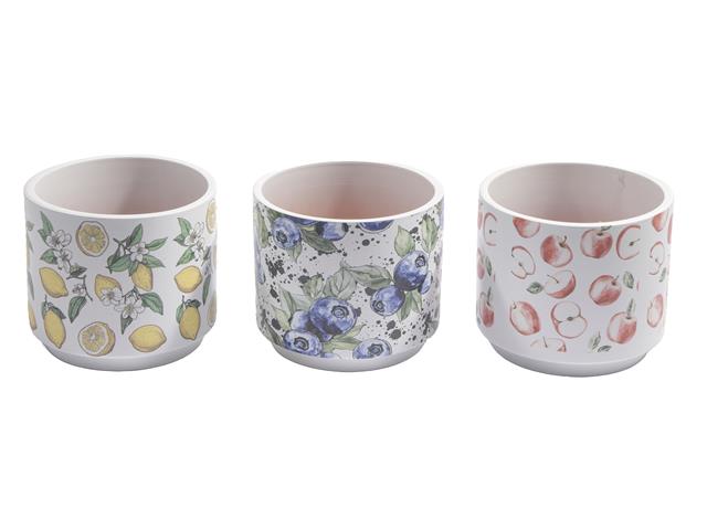 TERRACOTTA ROUND PLANTERS (FRUITS) (6/DISP)