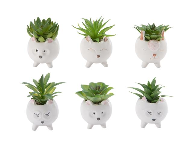 CERAMIC ANIMAL WITH SUCCULENT (ASSTD)