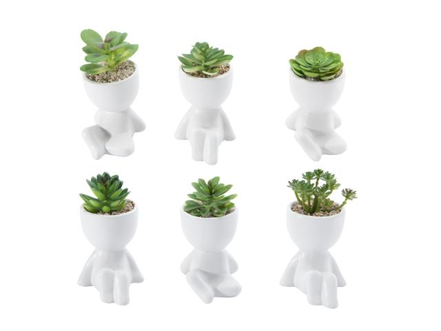 CERAMIC FIGURINE POT WITH SUCCULENT (ASSTD)