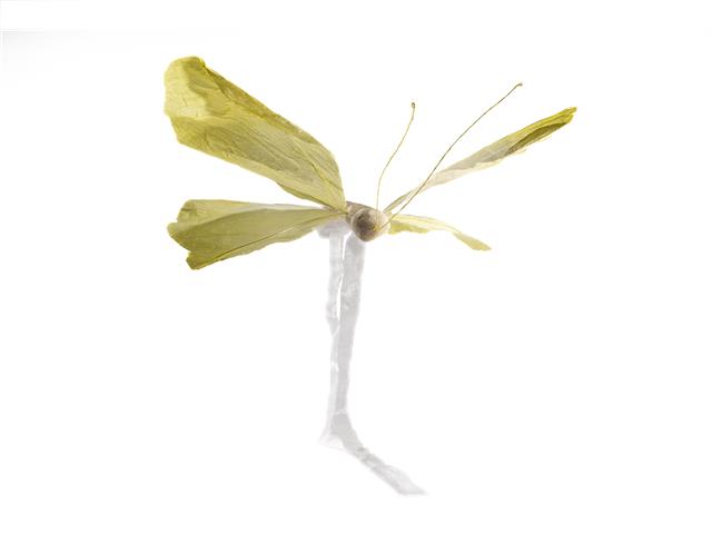 HANGING PAPER BUTTERFLY (YELLOW)