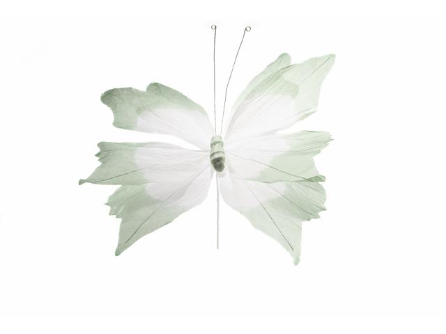 PAPER BUTTERFLY PICK (GREEN)