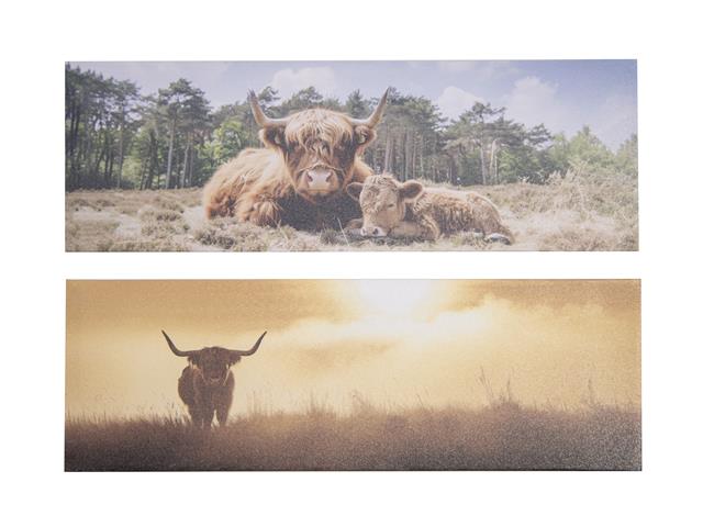 CANVAS WALL ART (HIGHLAND CATTLE) (ASSTD)