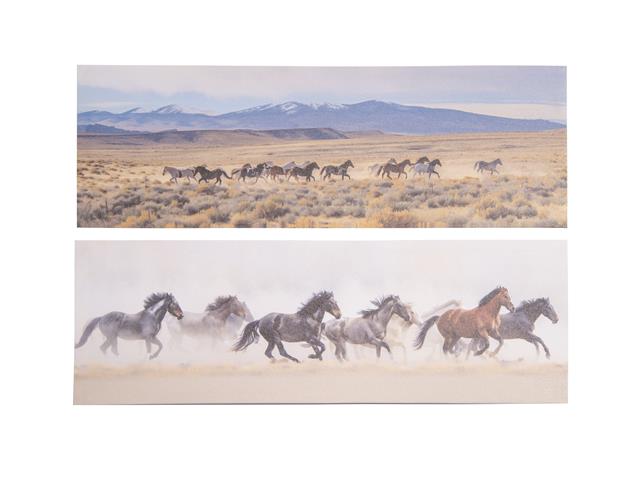 CANVAS WALL ART (RUNNING HORSES) (ASSTD)