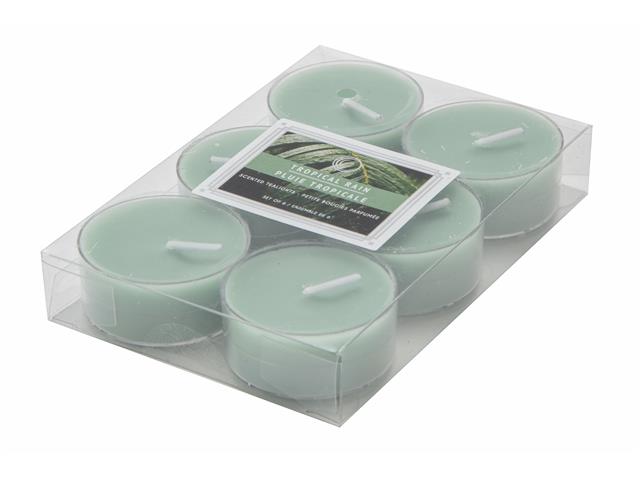 6PK SCENTED TEALIGHTS (TROPICAL RAIN) (12/DISP)