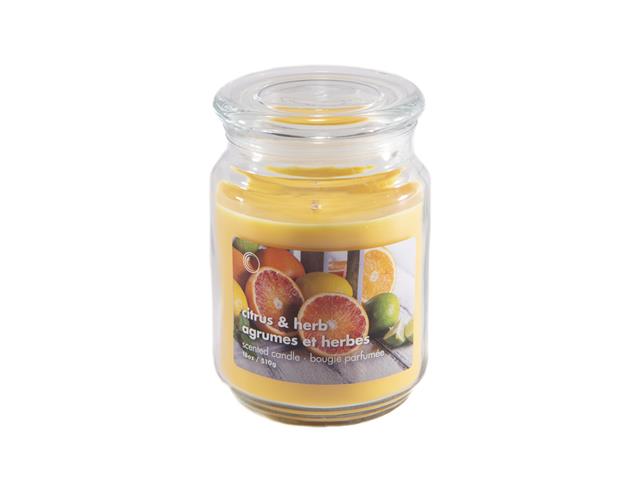 18 OZ SCENTED JAR WITH GLASS LID (CITRUS & HERB)