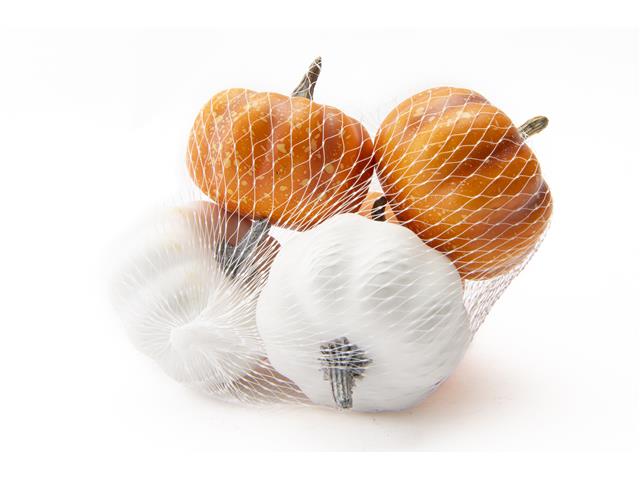 ORANGE AND WHITE PUMPKINS IN MESH BAG