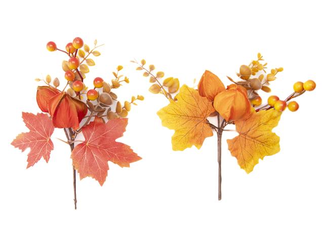 HARVEST CHINESE LANTERN AND BERRIES PICK (ASSTD)