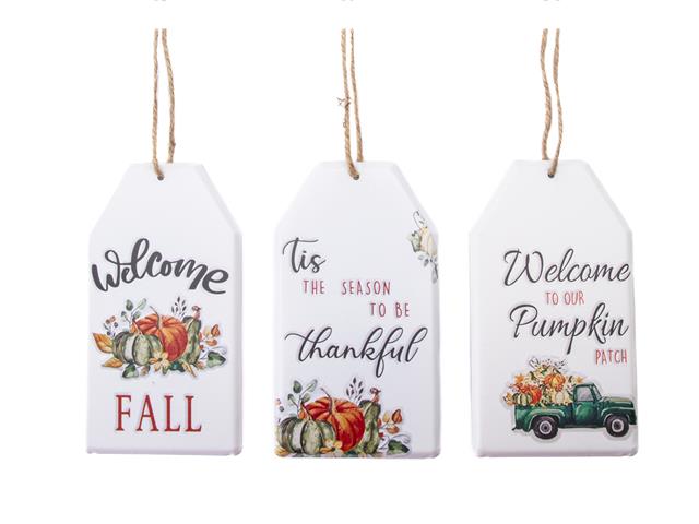 METAL TAG HANGER (PUMPKIN/FALL/THANKFUL) (ASSTD)