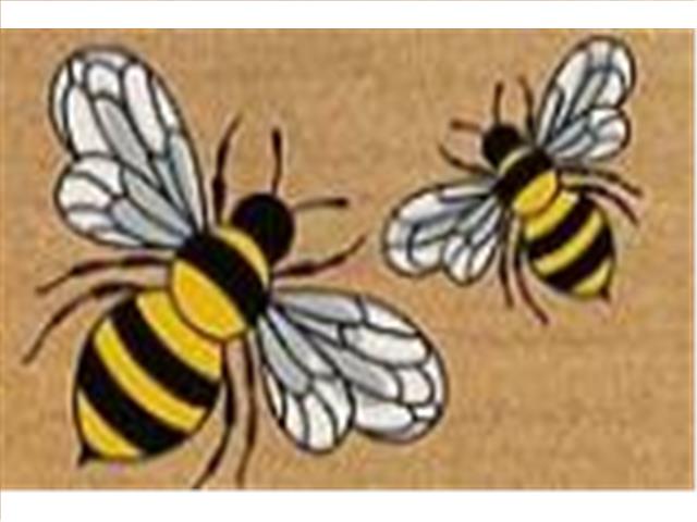 COIR DOOR MAT (BEES)