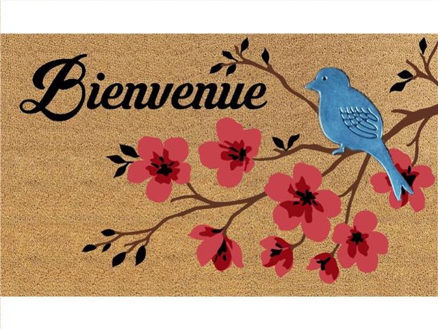 COIR MAT WITH RUBBER ACCENT (BIENVENUE - BIRD ACCENT)