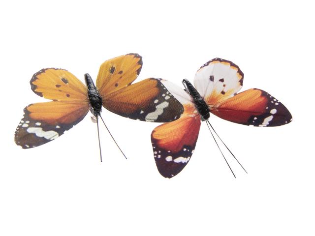 2PK BUTTERFLY CLIPS