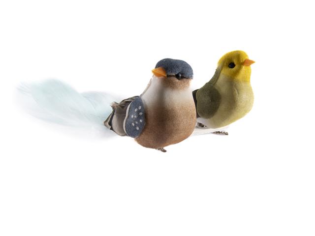 2PK BIRD CLIPS