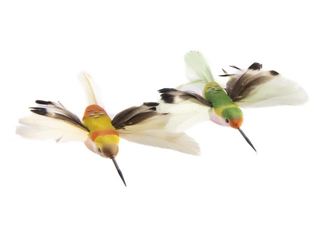 2PK HUMMINGBIRD CLIPS