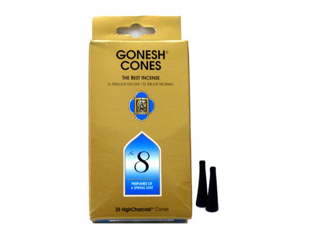 Gonesh Classic Cones 25 Cones No 8 Ih Casadecor