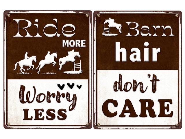 EMBOSSED IRON WALL HANGING (BARN HAIR/RIDE MORE) (ASSTD)