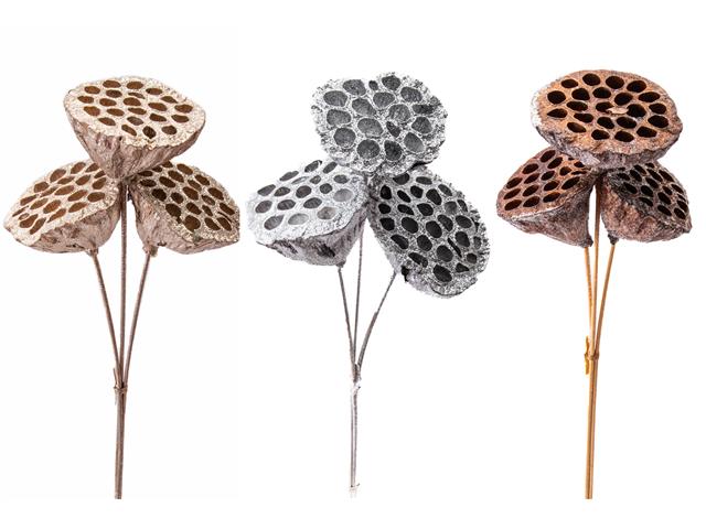 GLITTERED DRIED LOTUS PICK (ASSTD)