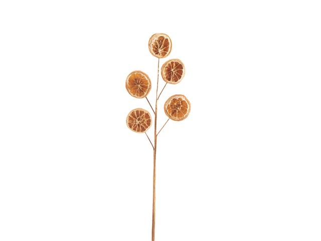 NATURAL DRIED ORANGE PICK