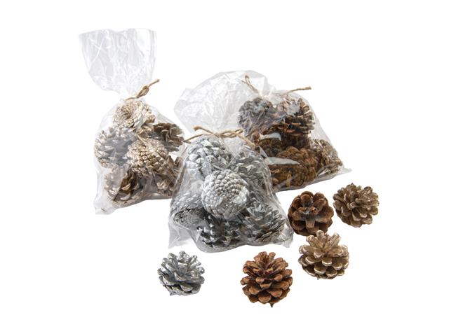 PINE CONE IN POLYBAG (ASSTD)
