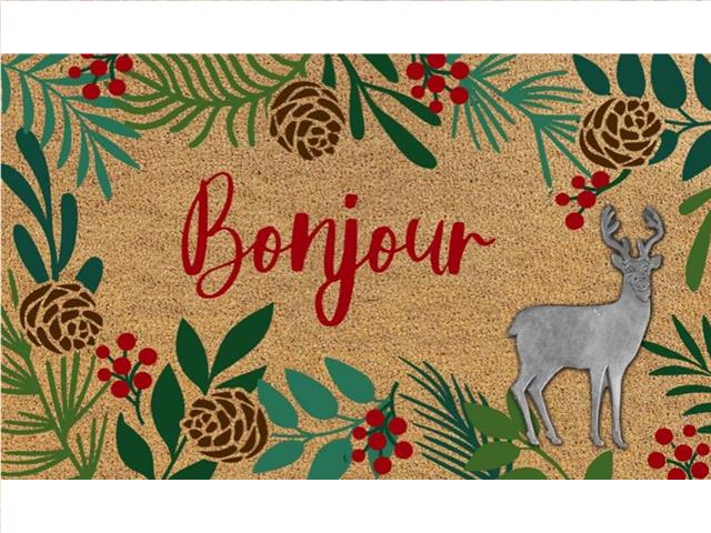 COIR MAT WITH RUBBER ACCENT (BONJOUR WITH REINDEER ACCENT)