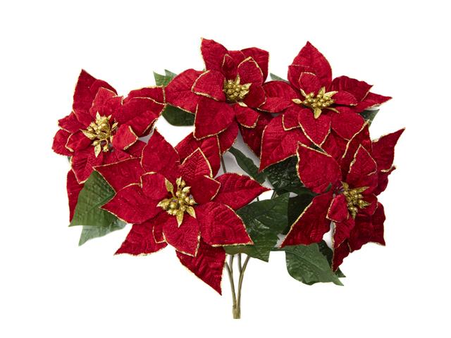 5 HEAD RED VELVET WITH GOLD GLITTER POINSETTIA BOUQUET