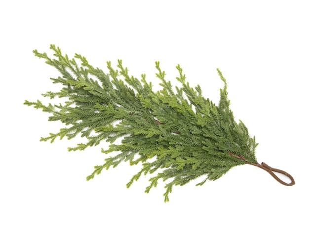 REAL TOUCH NORFOLK PINE TEARDROP