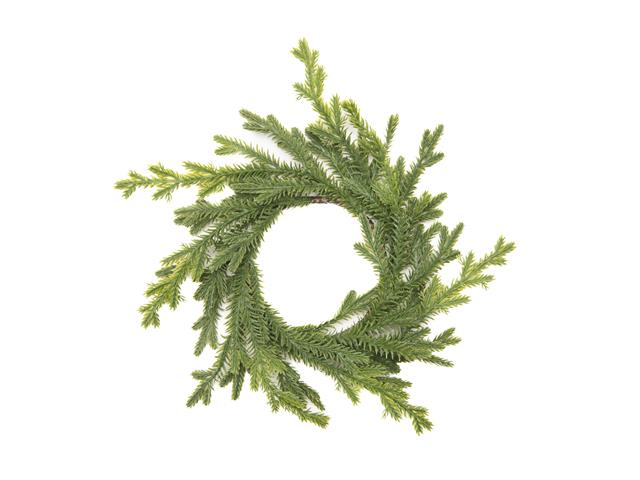 REAL TOUCH NORFOLK PINE CANDLE RING
