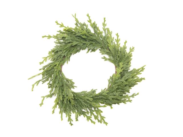 REAL TOUCH NORFOLK PINE WREATH