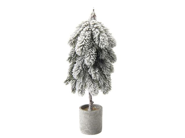 SNOW COVERED CEDAR TREE IN CEMENT POT