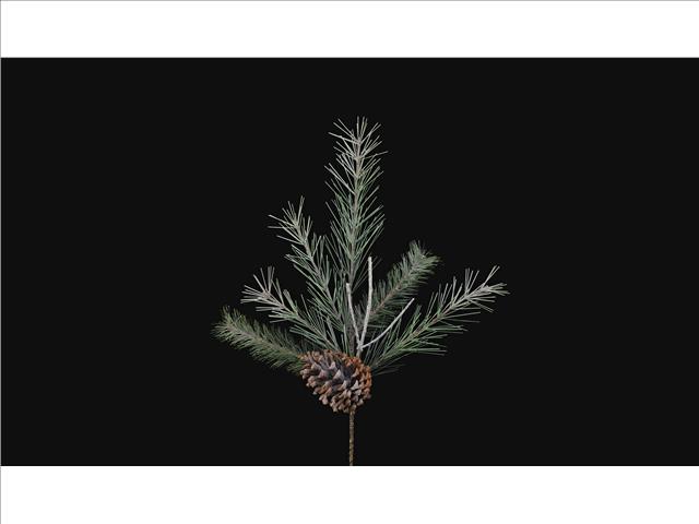 d PIK EVERGREEN PINE/BIRCH
