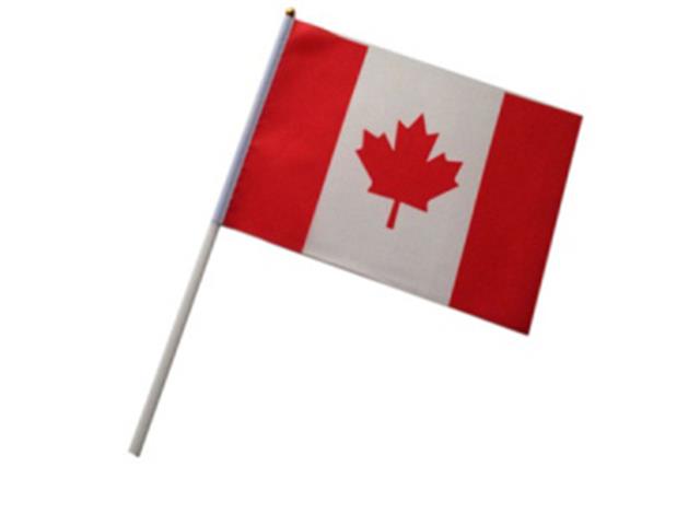 CANADIAN FLAG WITH POLE (12"X18")