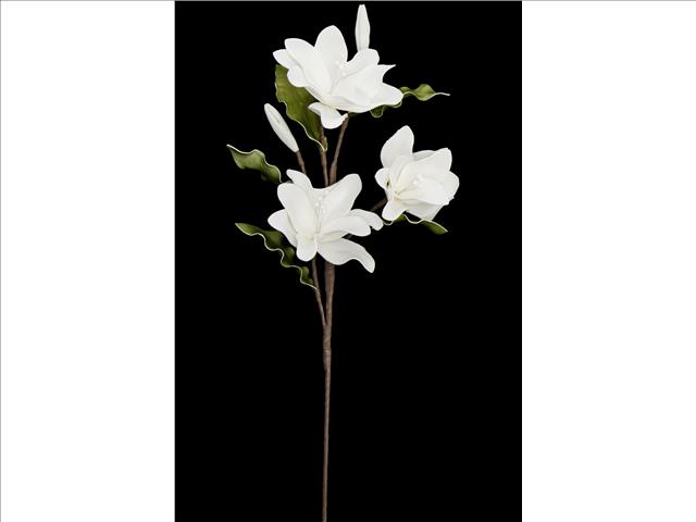 3 HEAD LONG STEM LILIES (WHITE)