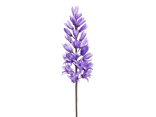 38" LONG STEM MAGNOLIA SPIKE (PURPLE)