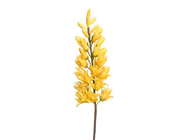 38" LONG STEM MAGNOLIA SPIKE (YELLOW)