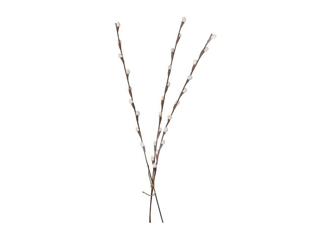 27" PUSSY WILLOW STEM