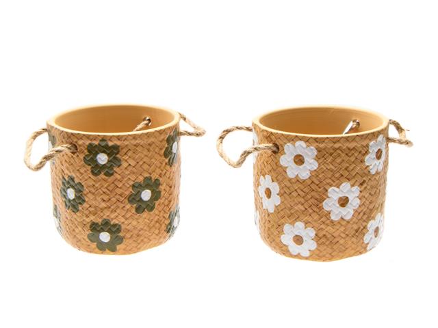 5" CERAMIC PLANTER W ROPE HANDLES (DAISY) (ASSTD)