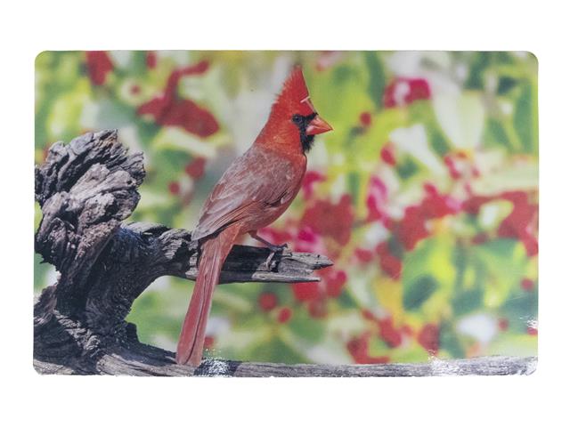 PLASTIC PLACEMAT (CARDINAL ON BRANCH)