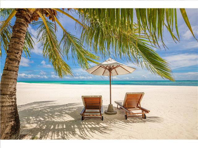 PLASTIC PLACEMAT (TROPICAL VACATION)