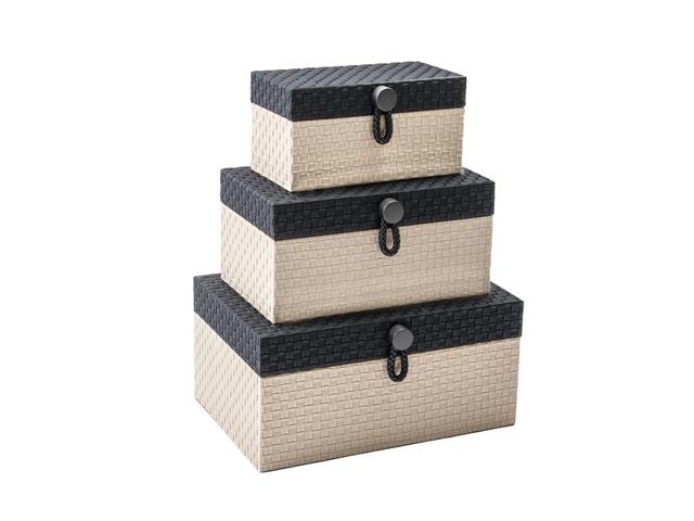WOVEN STORAGE BOX WITH LOOP HANDLE (SET OF 3) (BLACK + BEIGE)