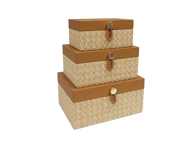 RECT. STORAGE BOX WITH GOLD KNOB (SET OF 3) (BROWN)