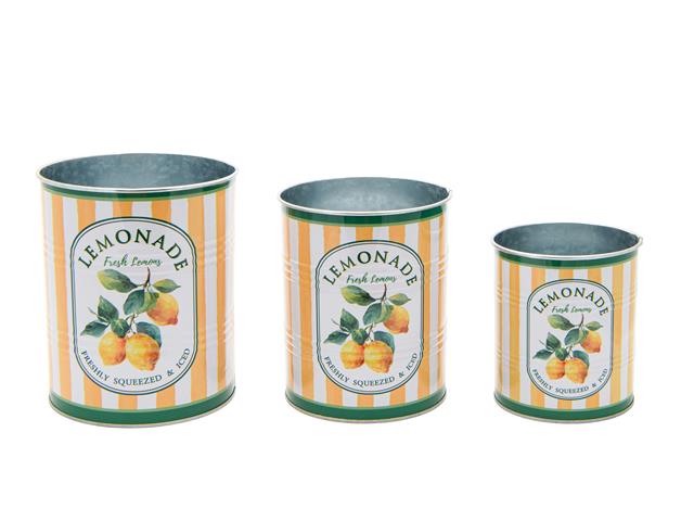 3PC METAL CANISTER PLANTER (LEMON)