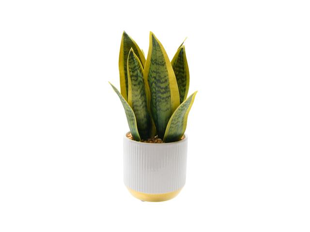 ARTIFICIAL SNAKE PLANT IN CERAMIC POT