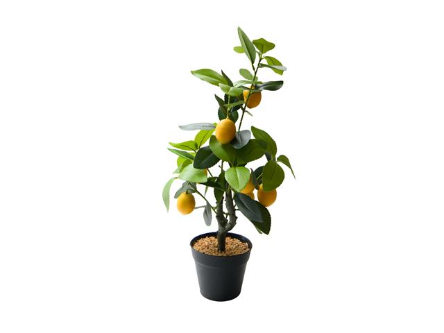21" ARTIFICIAL POTTED LEMON PLANT