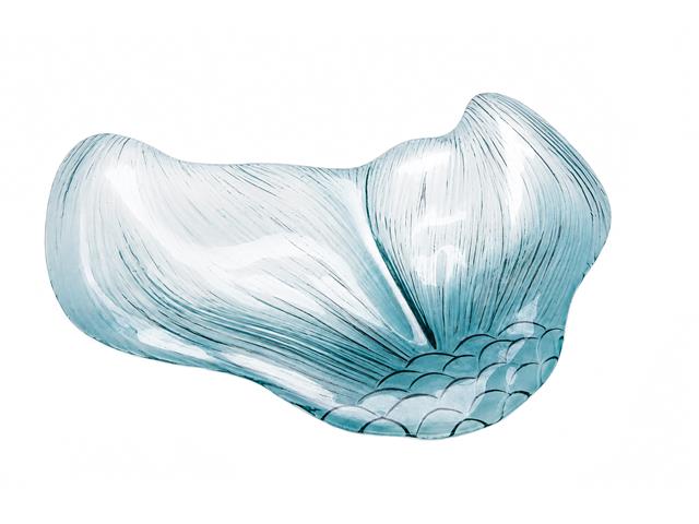 10" 2 SECTION FISHTAIL GLASS PLATE