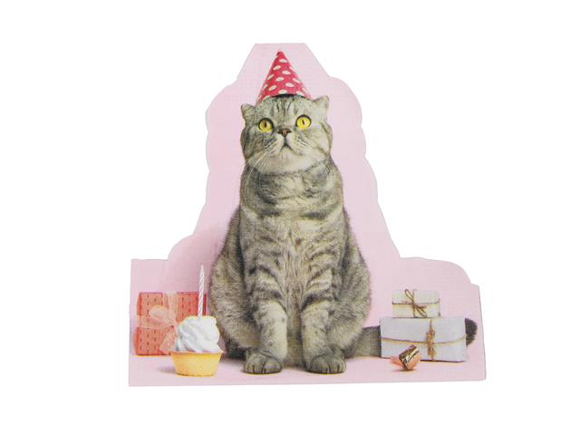 12 PACK 3 PLY SHAPED NAPKIN (BIRTHDAY CAT)
