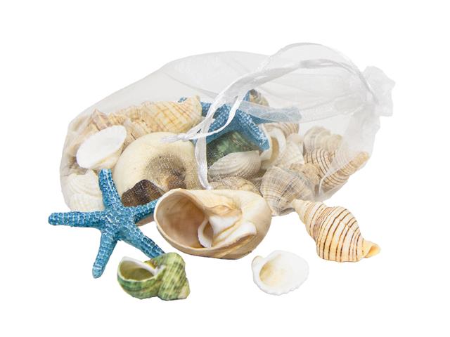 SEASHELLS IN MESH BAG