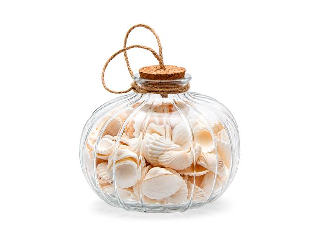 SEASHELLS IN ROUND GLASS BOTTLE WITH CORK