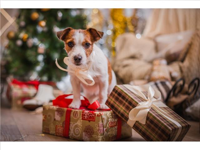 PLASTIC PLACEMAT (DOG AND GIFTS)